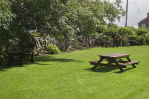 Springlawn Garden
