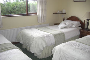 Springlawn Triple room