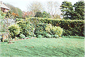 AtWestpoint BB - garden