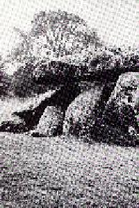 Haroldstown-Dolmen-Desc1-11724