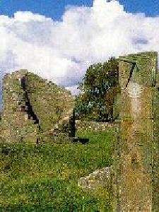 Nendrum-Abbey-and-Monastic-Site-Desc1-14100