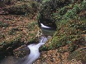 cavan-way-desc1-27641