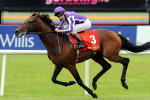 curragh-racecourse