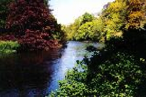 demesne-fishing-at-shanes-castle-desc1-13713
