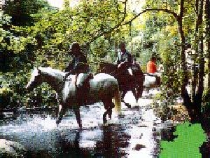 devil-s-glen-cottages-riding-school-wel1-12218