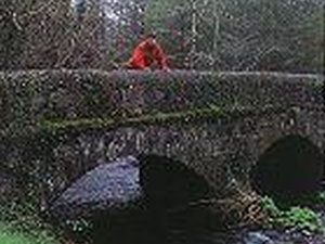 east-munster-way-desc1-27634