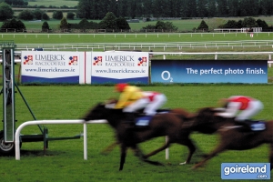 limerickracecourse-us-390