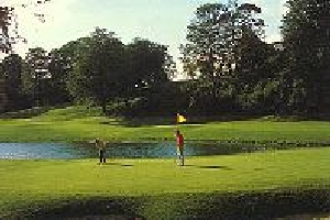 mount-juliet-desc1-28019