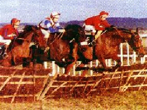naas-racecourse-wel0-11814