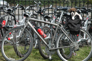 phoenix-park-bike-hire-dublin-welcome-1-44830