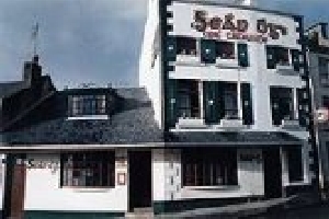 sean-ogs-desc1-28537