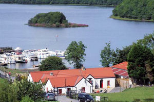 swan island