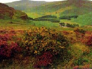 wicklow-way-desc1-12235