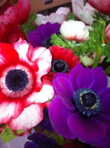mothers day
