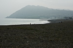 SONY DSC