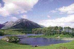 Picture of Galway, Ireland