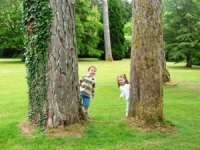 Muckross House Gardens And Traditional Farms, County Kerry