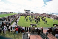 Horse racing in Ireland