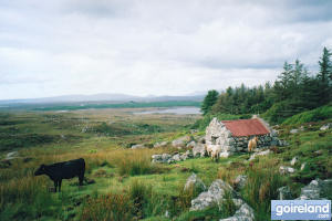 Connemara, Galway