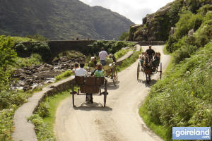 Jaunting Car Killarney