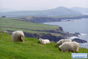 Kerry Coastline