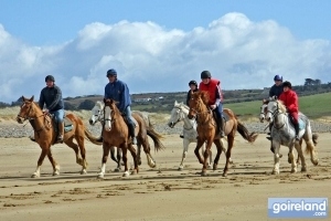 Horse Riding on Tramore Beach