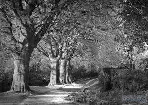 Image: Forthill Park - Enniskillen - County Fermanagh - Northern Ireland.