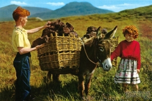 Award winning idyllic image of Ireland: Red haired children collecting turf from a bog in Connemara, Galway