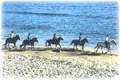 horse riding holidays in ireland